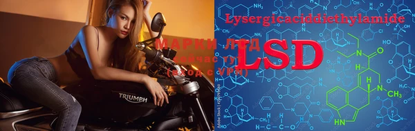 PSILOCYBIN Богданович