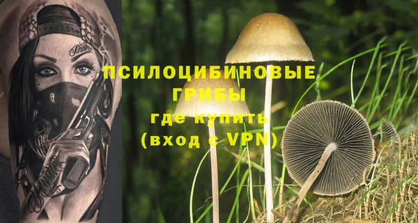 синтетический гашиш Богородицк