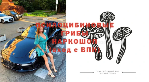 PSILOCYBIN Богданович